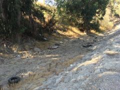 IMG_0918