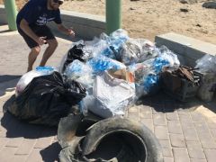 HuenemeWest_TrashPile