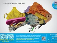 ccc-2011-poster3-450w