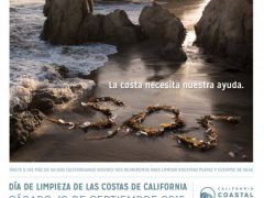 CCCD15_Seaweed_Spanish_Pstr_Lores