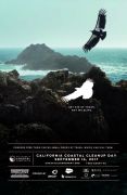 Poster Gallery 2017