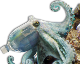 Octopus_2009_PNG